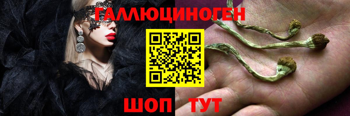 Галлюциногенные грибы прущие грибы Ярославль